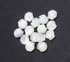 Mother of Pearl Charm