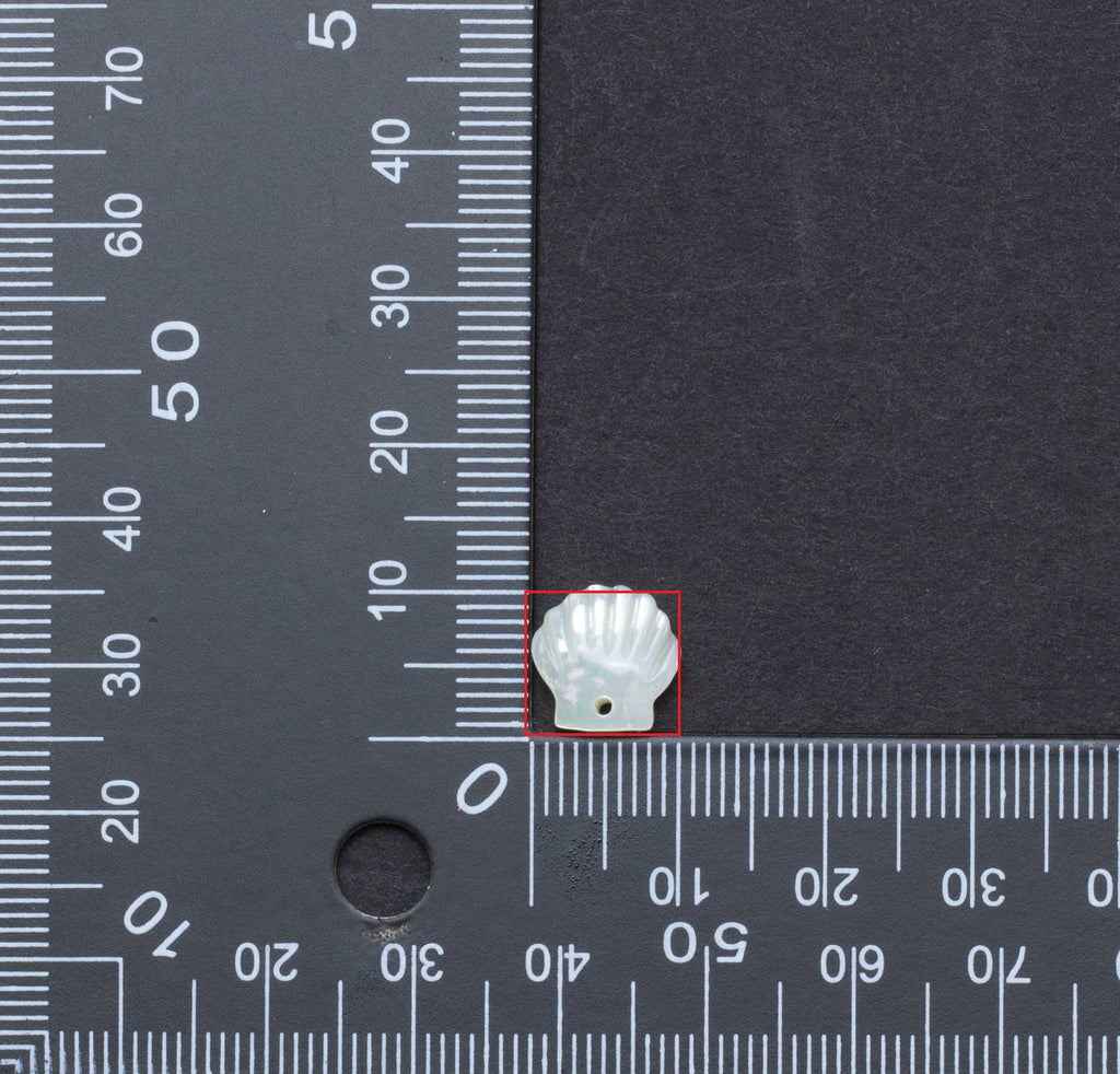 Mother of Pearl Charm